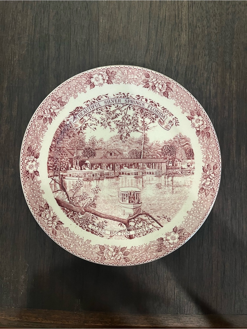 Burgundy Silver Springs Florida- Old English Staffordshire Ware